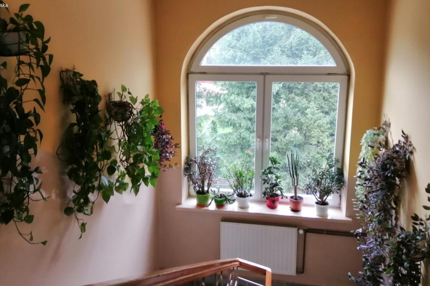 nowosądecki, Stary Sącz, Stefana Batorego, Wynajem | Mieszkanie 2 pokojowe | Stary Sącz