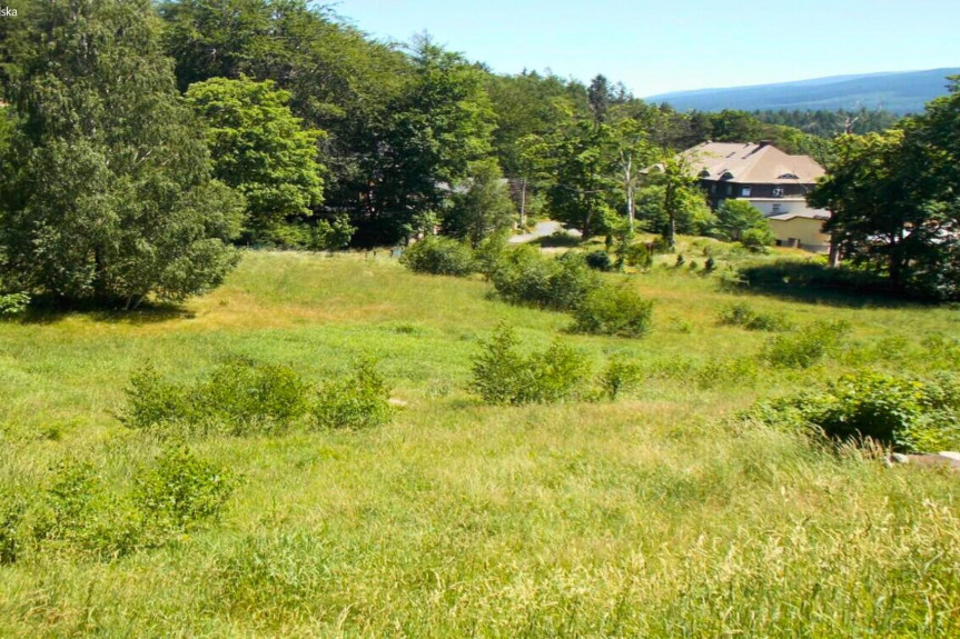 dolnośląskie, jeleniog&oacute;rski, Szklarska Poręba, Gustawa Morcinka, Dzierżawa | Działka niezabudowana | Szklarska Poręba