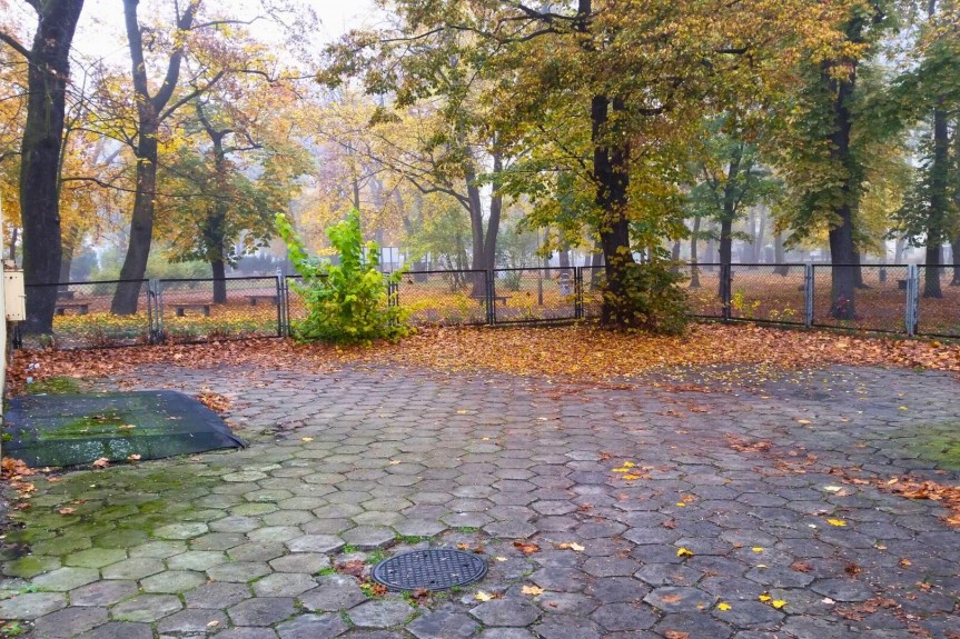 kolski, Koło, Henryka Sienkiewicza, Wynajem | Pom. biurowe | Koło