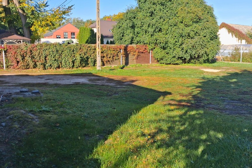 łowicki, Niebor&oacute;w, al. Lipowa, Wynajem | Wielofunkcyjna | Niebor&oacute;w