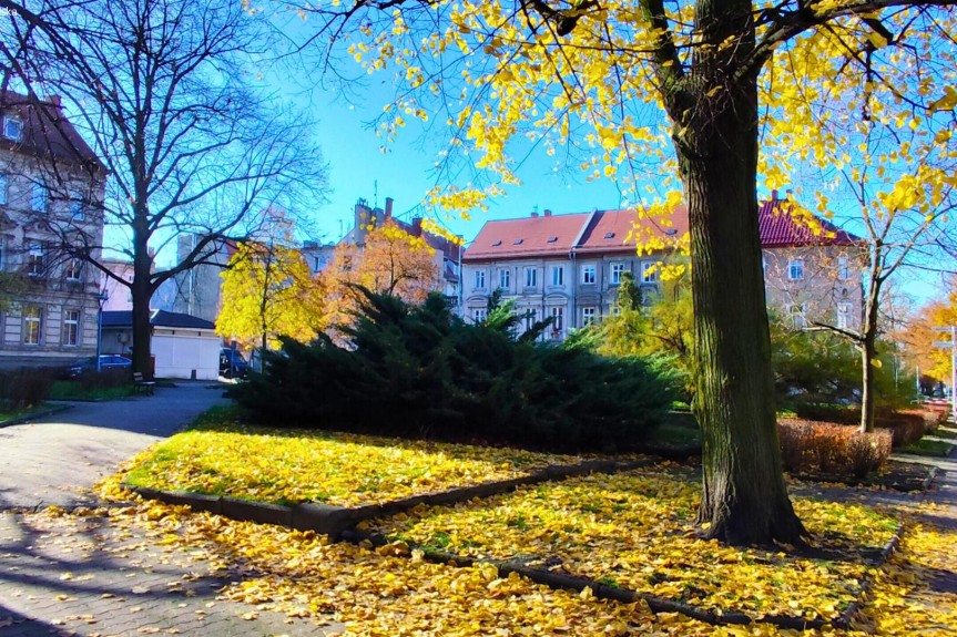 legnicki, Chojn&oacute;w, Dąbrowskiego, Wynajem | Budynek usługowy | Chojn&oacute;w