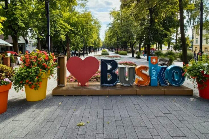 buski, Busko-Zdrój, Adama Mickiewicza, Wynajem | Budynek biurowo-usługowy | Busko-Zdrój